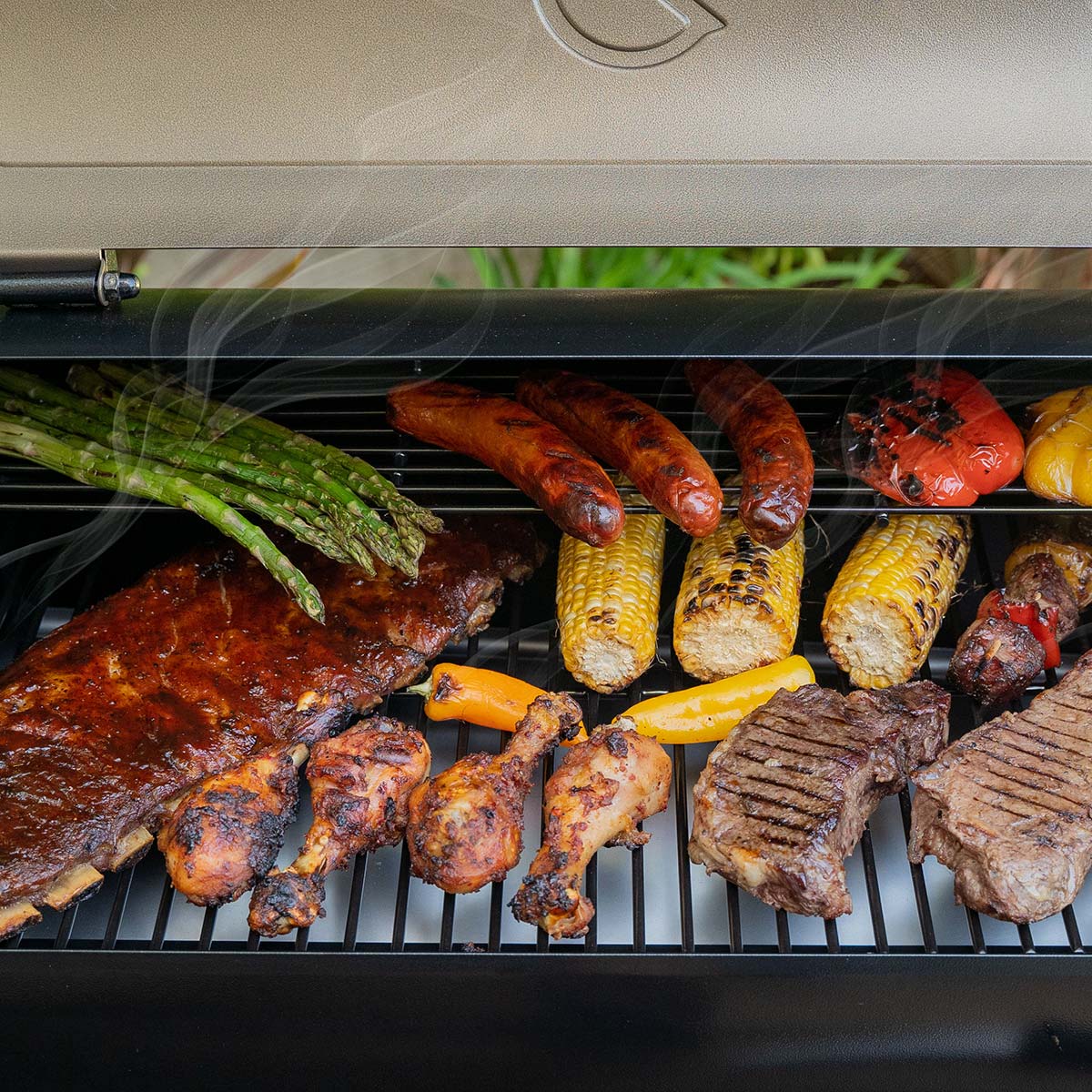 Z GRILLS-550C - Image 14